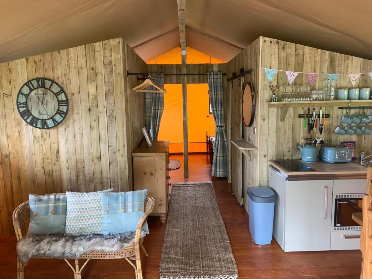 Mountain View Safari Tent With Hot Tub In The Heart Of Snowdonia Dolgellau Zewnętrze zdjęcie