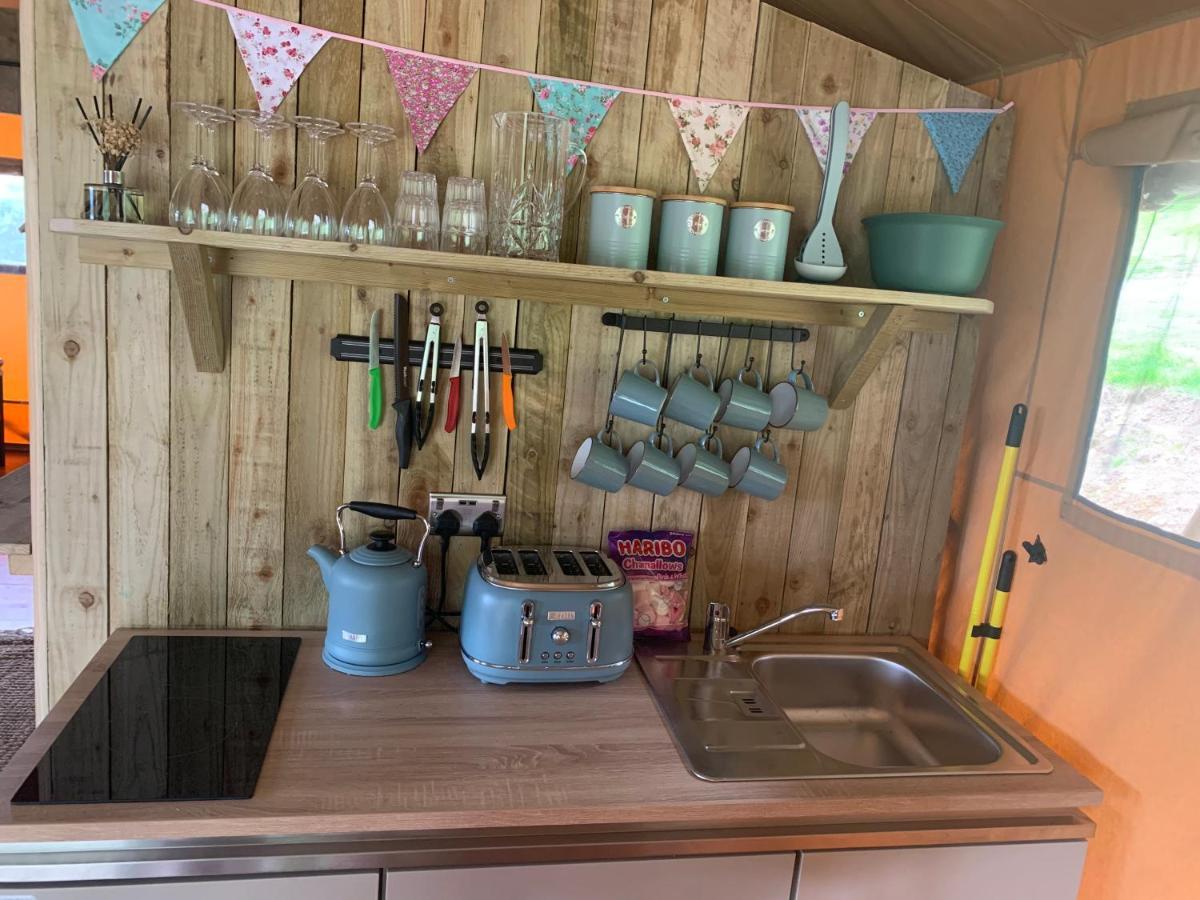 Mountain View Safari Tent With Hot Tub In The Heart Of Snowdonia Dolgellau Zewnętrze zdjęcie