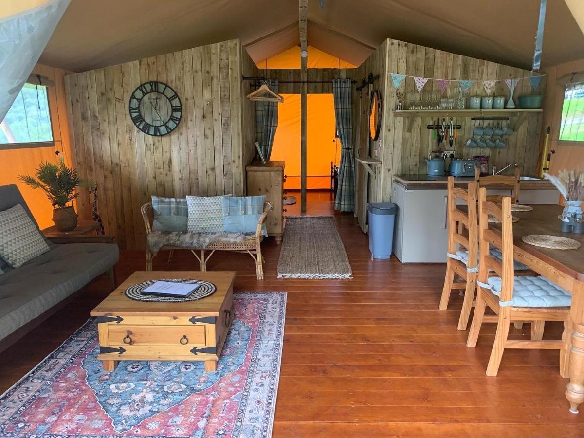 Mountain View Safari Tent With Hot Tub In The Heart Of Snowdonia Dolgellau Zewnętrze zdjęcie