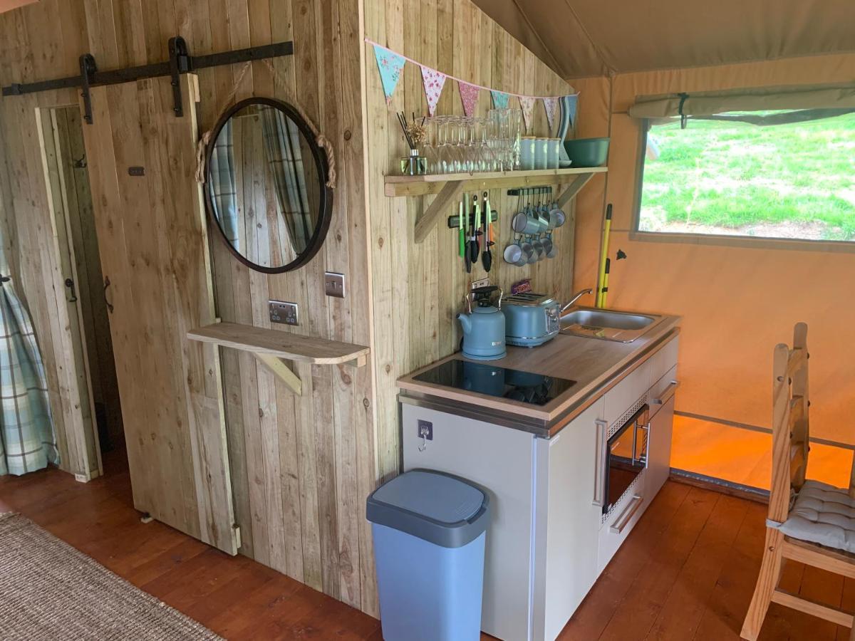 Mountain View Safari Tent With Hot Tub In The Heart Of Snowdonia Dolgellau Zewnętrze zdjęcie