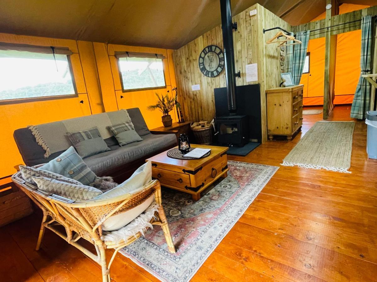 Mountain View Safari Tent With Hot Tub In The Heart Of Snowdonia Dolgellau Zewnętrze zdjęcie